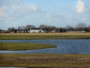 tekstschrijver-texel